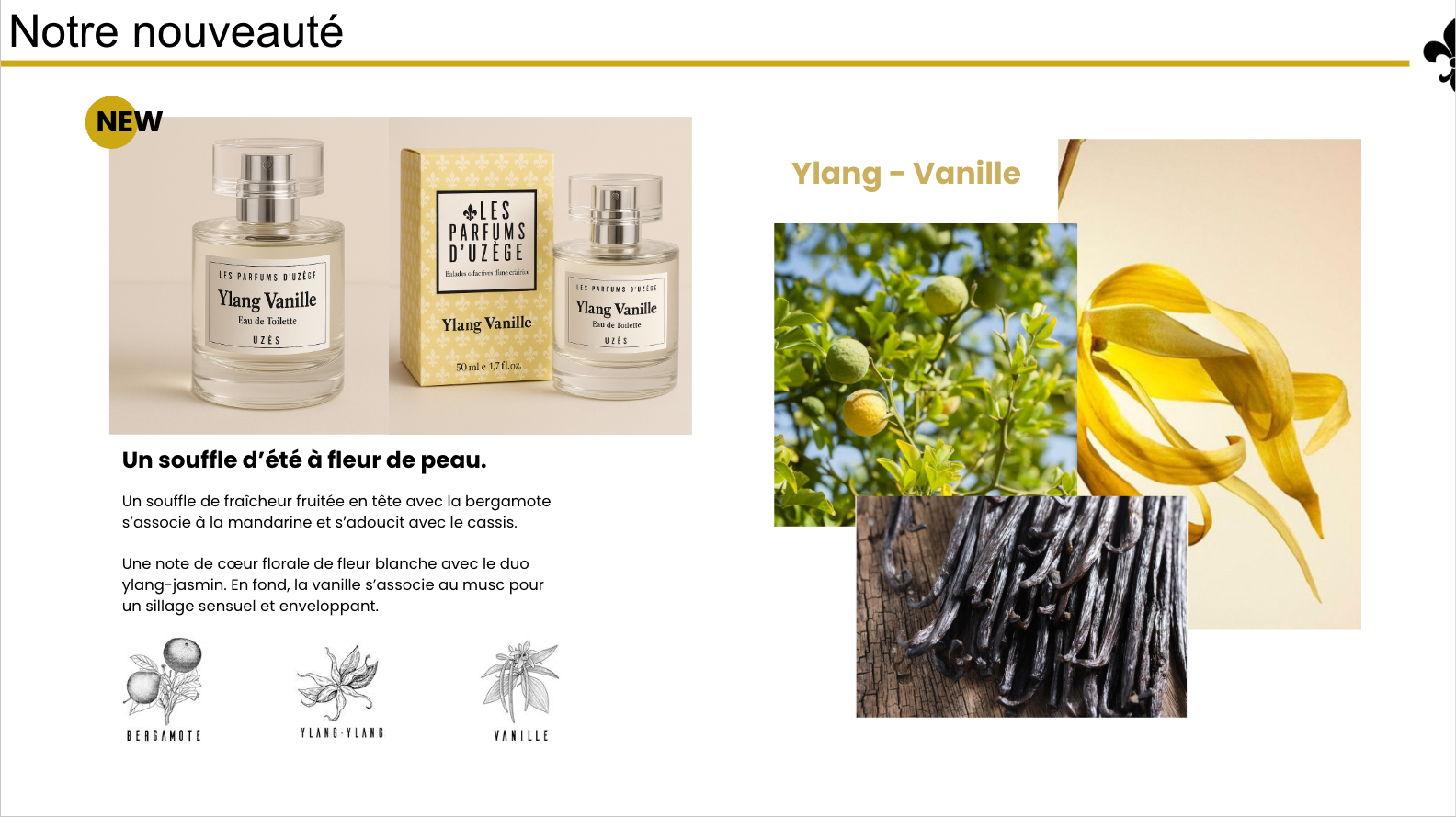 Ylang Vanille Eau de Toilette -100ml - Sublimelle91